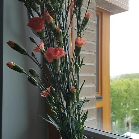 Lägenhet Apartament Rincon Verde